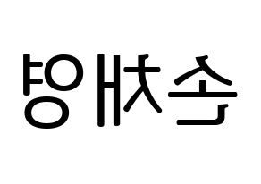 KPOP Twice(트와이스、トゥワイス) 채영 (チェヨン) プリント用応援ボード型紙、うちわ型紙　韓国語/ハングル文字型紙 左右反転
