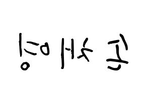 KPOP Twice(트와이스、トゥワイス) 채영 (ソン・チェヨン, チェヨン) k-pop アイドル名前　ボード 言葉 左右反転