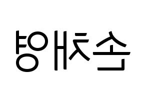 KPOP Twice(트와이스、トゥワイス) 채영 (チェヨン) コンサート用　応援ボード・うちわ　韓国語/ハングル文字型紙 左右反転