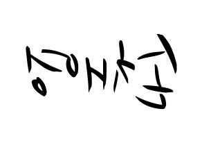 KPOP Twice(트와이스、トゥワイス) 채영 (チェヨン) k-pop 応援ボード メッセージ 型紙 左右反転