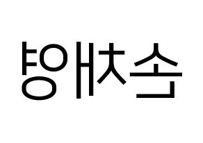 KPOP Twice(트와이스、トゥワイス) 채영 (チェヨン) プリント用応援ボード型紙、うちわ型紙　韓国語/ハングル文字型紙 左右反転