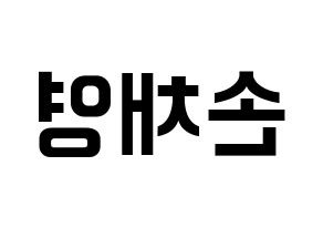 KPOP Twice(트와이스、トゥワイス) 채영 (チェヨン) k-pop アイドル名前 ファンサボード 型紙 左右反転