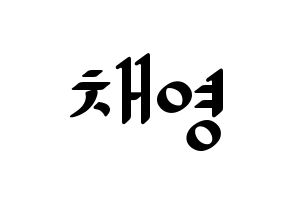 KPOP Twice(트와이스、トゥワイス) 채영 (チェヨン) 応援ボード ハングル 型紙  通常