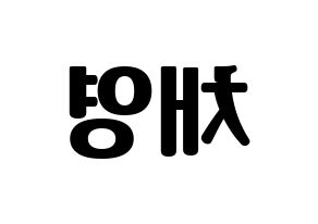 KPOP Twice(트와이스、トゥワイス) 채영 (チェヨン) コンサート用　応援ボード・うちわ　韓国語/ハングル文字型紙 左右反転