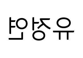 KPOP Twice(트와이스、トゥワイス) 정연 (ジョンヨン) コンサート用　応援ボード・うちわ　韓国語/ハングル文字型紙 左右反転