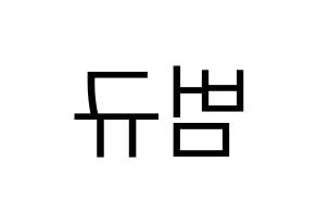 KPOP TXT(투모로우바이투게더、トゥモローバイトゥゲザー) 범규 (ボムギュ) プリント用応援ボード型紙、うちわ型紙　韓国語/ハングル文字型紙 左右反転