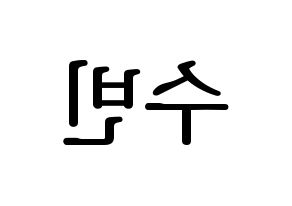 KPOP TXT(투모로우바이투게더、トゥモローバイトゥゲザー) 수빈 (スビン) プリント用応援ボード型紙、うちわ型紙　韓国語/ハングル文字型紙 左右反転