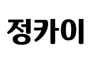 KPOP TXT(투모로우바이투게더、トゥモローバイトゥゲザー) 휴닝카이 (ヒュニンカイ) コンサート用　応援ボード・うちわ　韓国語/ハングル文字型紙 通常