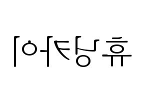 KPOP TXT(투모로우바이투게더、トゥモローバイトゥゲザー) 휴닝카이 (ヒュニンカイ) 応援ボード・うちわ　韓国語/ハングル文字型紙 左右反転