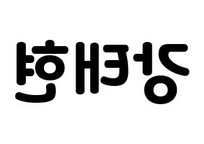 KPOP TXT(투모로우바이투게더、トゥモローバイトゥゲザー) 태현 (テヒョン) 応援ボード・うちわ　韓国語/ハングル文字型紙 左右反転