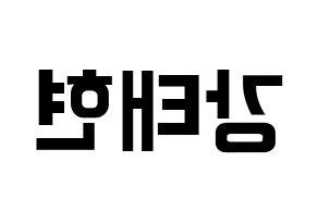 KPOP TXT(투모로우바이투게더、トゥモローバイトゥゲザー) 태현 (テヒョン) k-pop アイドル名前 ファンサボード 型紙 左右反転