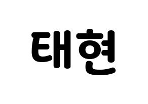 KPOP TXT(투모로우바이투게더、トゥモローバイトゥゲザー) 태현 (テヒョン) 応援ボード・うちわ　韓国語/ハングル文字型紙 通常
