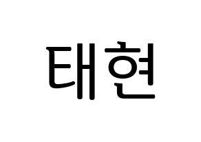 KPOP TXT(투모로우바이투게더、トゥモローバイトゥゲザー) 태현 (テヒョン) プリント用応援ボード型紙、うちわ型紙　韓国語/ハングル文字型紙 通常