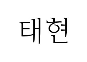 KPOP TXT(투모로우바이투게더、トゥモローバイトゥゲザー) 태현 (テヒョン) 応援ボード・うちわ　韓国語/ハングル文字型紙 通常