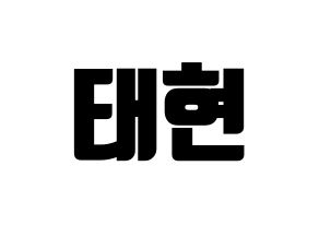 KPOP TXT(투모로우바이투게더、トゥモローバイトゥゲザー) 태현 (テヒョン) コンサート用　応援ボード・うちわ　韓国語/ハングル文字型紙 通常