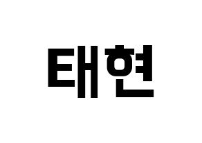KPOP TXT(투모로우바이투게더、トゥモローバイトゥゲザー) 태현 (テヒョン) k-pop アイドル名前 ファンサボード 型紙 通常