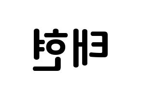 KPOP TXT(투모로우바이투게더、トゥモローバイトゥゲザー) 태현 (カン・テヒョン, テヒョン) k-pop アイドル名前　ボード 言葉 左右反転