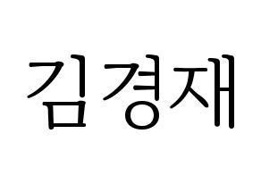 KPOP U-KISS(유키스、ユー・キス) 일라이 (イライ) 応援ボード・うちわ　韓国語/ハングル文字型紙 通常