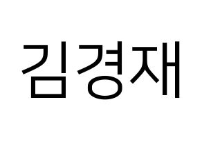 KPOP U-KISS(유키스、ユー・キス) 일라이 (イライ) プリント用応援ボード型紙、うちわ型紙　韓国語/ハングル文字型紙 通常