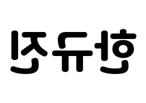 KPOP UP10TION(업텐션、アップテンション) 규진 (ギュジン) 応援ボード・うちわ　韓国語/ハングル文字型紙 左右反転