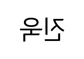 KPOP UP10TION(업텐션、アップテンション) 진후 (ジヌ) コンサート用　応援ボード・うちわ　韓国語/ハングル文字型紙 左右反転