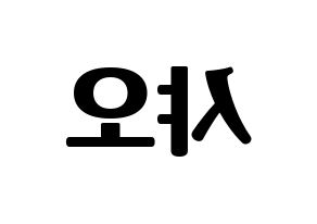 KPOP UP10TION(업텐션、アップテンション) 샤오 (シャオ) コンサート用　応援ボード・うちわ　韓国語/ハングル文字型紙 左右反転