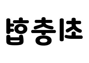 KPOP VAV(브이에이브이、ブイエイブイ) 바론 (バロン) 応援ボード・うちわ　韓国語/ハングル文字型紙 左右反転