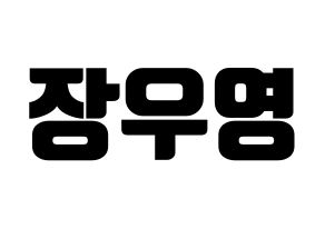 KPOP VAV(브이에이브이、ブイエイブイ) 에이스 (エース) コンサート用　応援ボード・うちわ　韓国語/ハングル文字型紙 通常