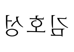 KPOP VAV(브이에이브이、ブイエイブイ) 로우 (ロウ) 応援ボード・うちわ　韓国語/ハングル文字型紙 左右反転