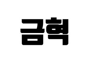 KPOP VAV(브이에이브이、ブイエイブイ) 세인트반 (セイントバン) コンサート用　応援ボード・うちわ　韓国語/ハングル文字型紙 通常