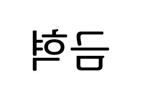 KPOP VAV(브이에이브이、ブイエイブイ) 세인트반 (セイントバン) プリント用応援ボード型紙、うちわ型紙　韓国語/ハングル文字型紙 左右反転