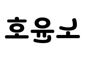 KPOP VAV(브이에이브이、ブイエイブイ) 에이노 (エイノ) 応援ボード・うちわ　韓国語/ハングル文字型紙 左右反転