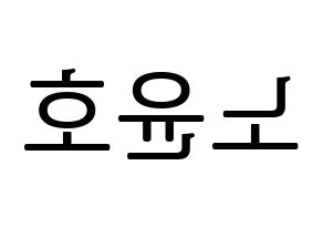 KPOP VAV(브이에이브이、ブイエイブイ) 에이노 (エイノ) プリント用応援ボード型紙、うちわ型紙　韓国語/ハングル文字型紙 左右反転