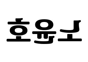 KPOP VAV(브이에이브이、ブイエイブイ) 에이노 (エイノ) コンサート用　応援ボード・うちわ　韓国語/ハングル文字型紙 左右反転