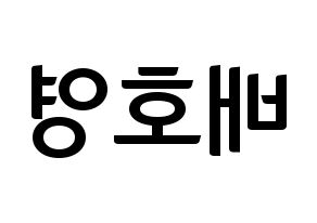 KPOP VERIVERY(베리베리、ベリーベリー) 호영 (ホヨン) k-pop アイドル名前 ファンサボード 型紙 左右反転