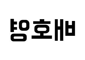 KPOP VERIVERY(베리베리、ベリーベリー) 호영 (ホヨン) k-pop アイドル名前 ファンサボード 型紙 左右反転