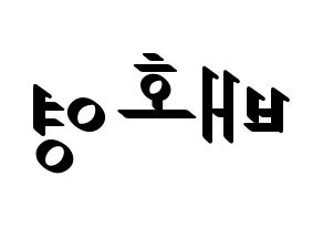 KPOP VERIVERY(베리베리、ベリーベリー) 호영 (ホヨン) 応援ボード ハングル 型紙  左右反転