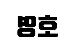 KPOP VERIVERY(베리베리、ベリーベリー) 호영 (ホヨン) コンサート用　応援ボード・うちわ　韓国語/ハングル文字型紙 左右反転