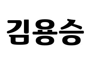 KPOP VERIVERY(베리베리、ベリーベリー) 용승 (ヨンスン) コンサート用　応援ボード・うちわ　韓国語/ハングル文字型紙 通常