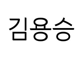 KPOP VERIVERY(베리베리、ベリーベリー) 용승 (ヨンスン) コンサート用　応援ボード・うちわ　韓国語/ハングル文字型紙 通常