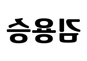 KPOP VERIVERY(베리베리、ベリーベリー) 용승 (ヨンスン) コンサート用　応援ボード・うちわ　韓国語/ハングル文字型紙 左右反転