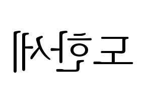 KPOP VICTON(빅톤、ビクトン) 도한세 (ド・ハンセ) 応援ボード・うちわ　韓国語/ハングル文字型紙 左右反転