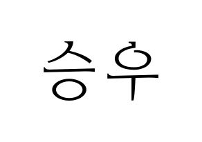 KPOP VICTON(빅톤、ビクトン) 한승우 (ハン・スンウ) 応援ボード・うちわ　韓国語/ハングル文字型紙 通常