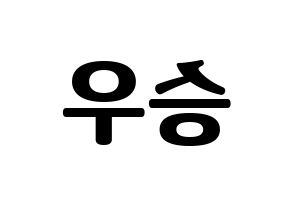 KPOP VICTON(빅톤、ビクトン) 한승우 (ハン・スンウ) コンサート用　応援ボード・うちわ　韓国語/ハングル文字型紙 左右反転