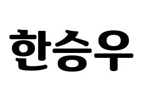 KPOP VICTON(빅톤、ビクトン) 한승우 (ハン・スンウ) コンサート用　応援ボード・うちわ　韓国語/ハングル文字型紙 通常