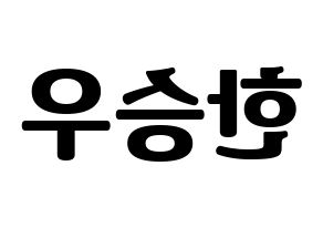 KPOP VICTON(빅톤、ビクトン) 한승우 (ハン・スンウ) コンサート用　応援ボード・うちわ　韓国語/ハングル文字型紙 左右反転
