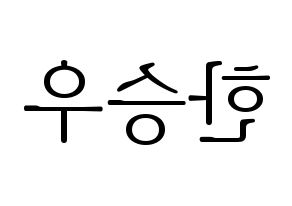 KPOP VICTON(빅톤、ビクトン) 한승우 (ハン・スンウ) 応援ボード・うちわ　韓国語/ハングル文字型紙 左右反転