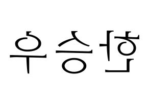 KPOP VICTON(빅톤、ビクトン) 한승우 (ハン・スンウ) 応援ボード・うちわ　韓国語/ハングル文字型紙 左右反転