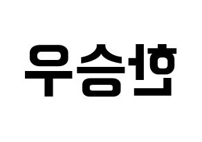 KPOP VICTON(빅톤、ビクトン) 한승우 (ハン・スンウ) k-pop アイドル名前 ファンサボード 型紙 左右反転