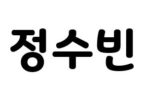 KPOP VICTON(빅톤、ビクトン) 정수빈 (チョン・スビン) 応援ボード・うちわ　韓国語/ハングル文字型紙 通常